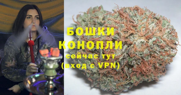 сатива Володарск