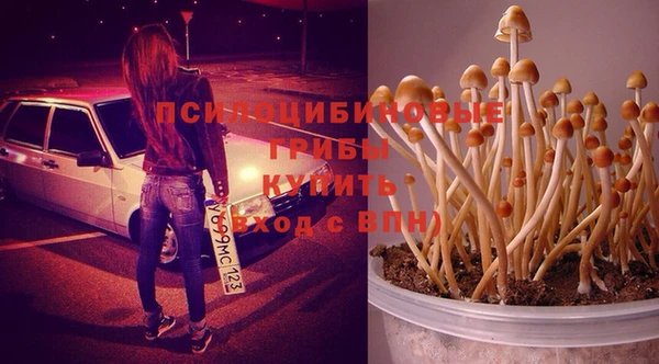 сатива Володарск