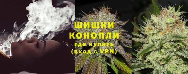 сатива Володарск