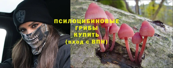 бошки Волосово