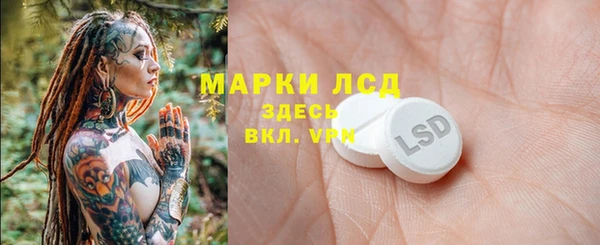 сатива Володарск