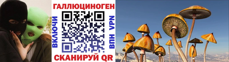 Галлюциногенные грибы Psilocybine cubensis  ссылка на мегу сайт  Железногорск-Илимский  продажа наркотиков 